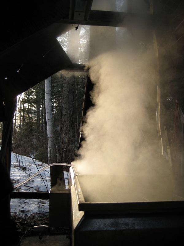 Sugar Bob's Evaporator